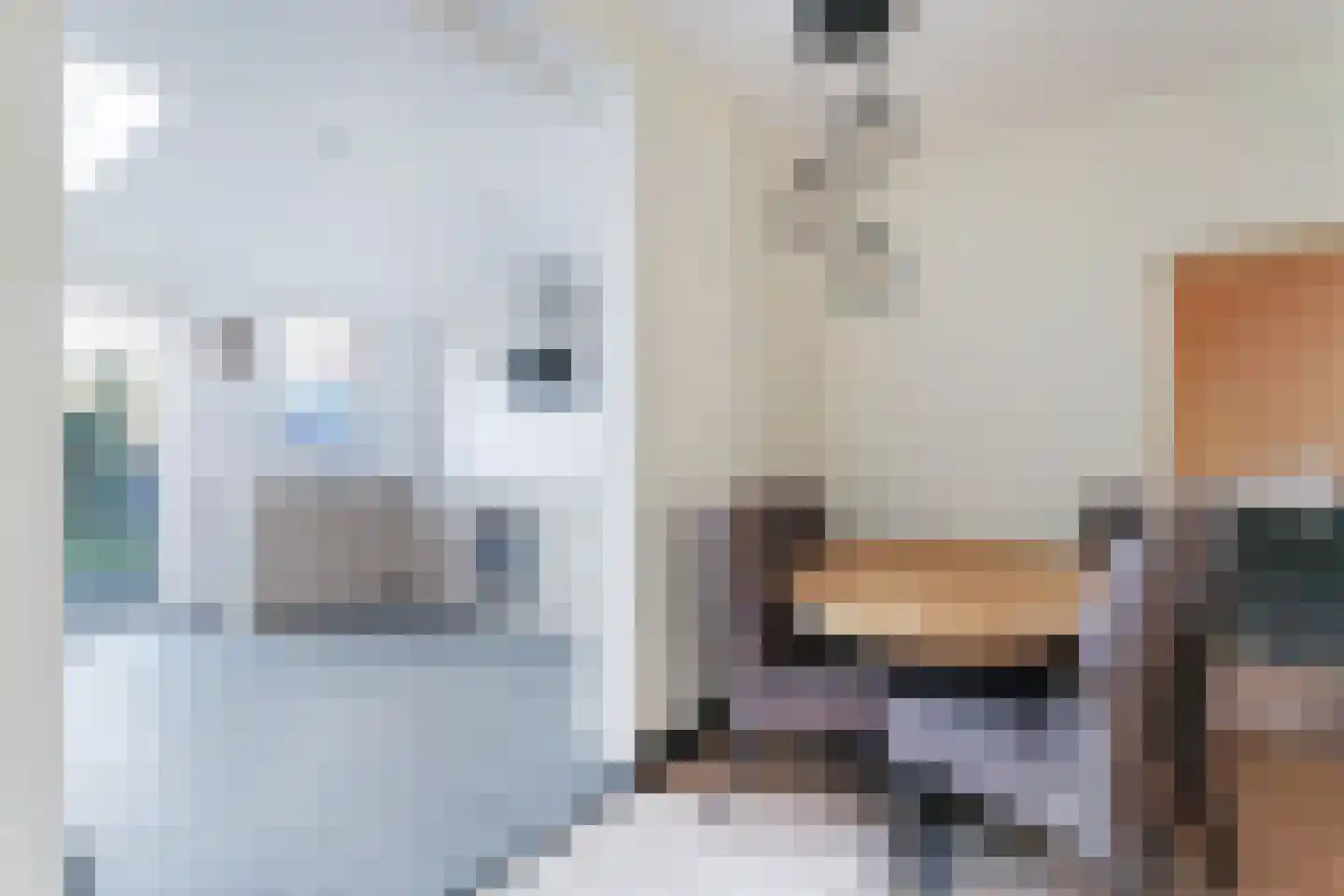Schuttershof 6 Arnemuiden thumbnail 8
