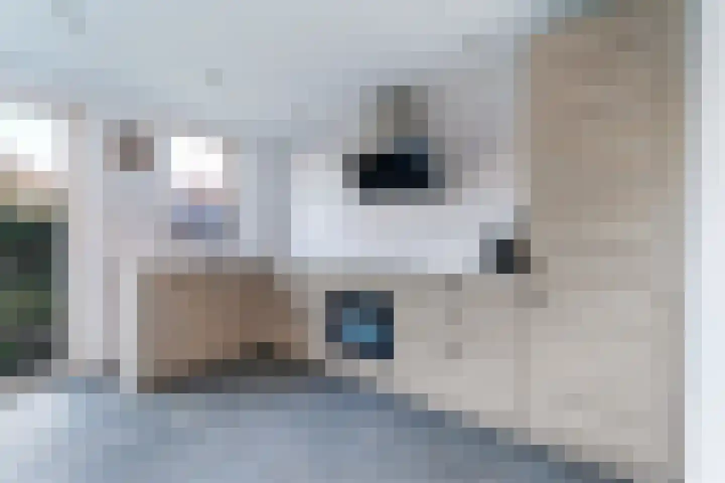 Schuttershof 6 Arnemuiden thumbnail 9