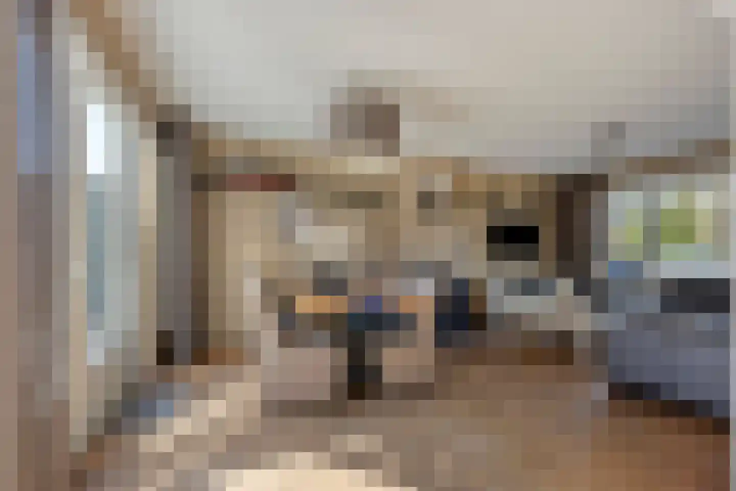 Schuttershof 7 Tholen thumbnail 11