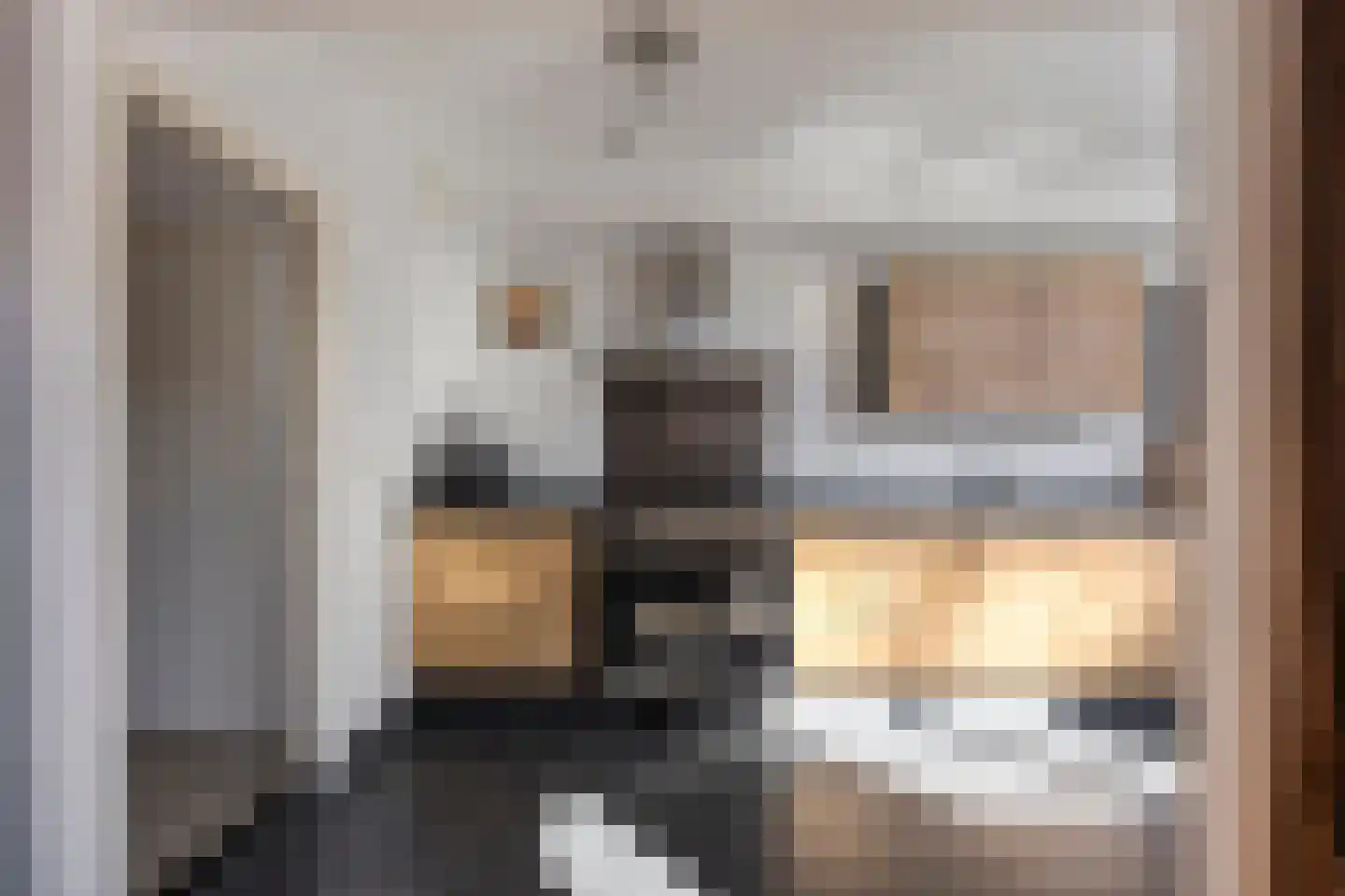 Schuttershof 7 Tholen thumbnail 16