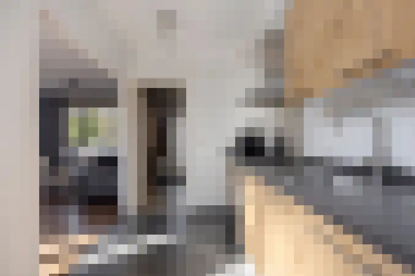 Schuttershof 7 Tholen thumbnail 19