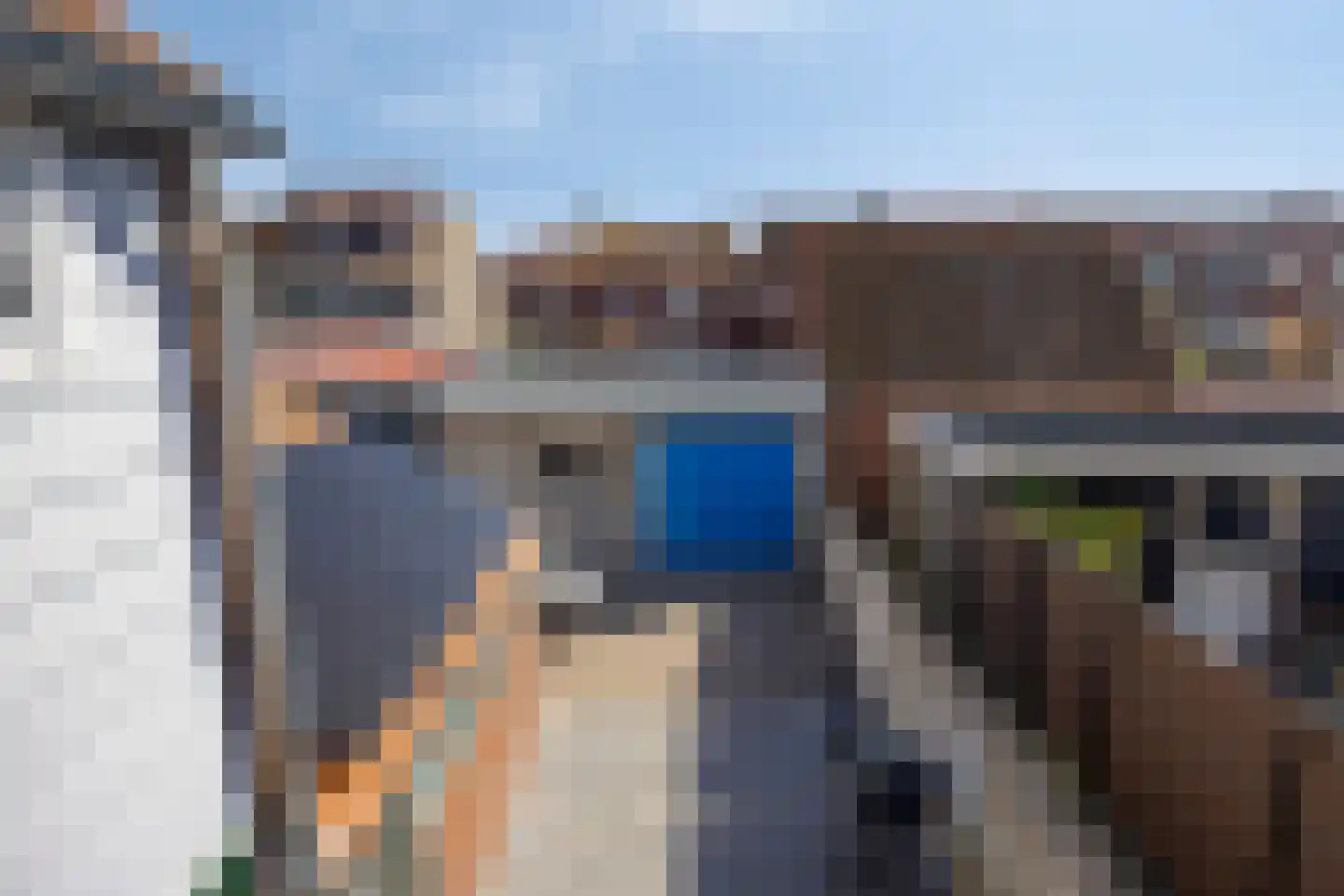 Schuttershof 7 Tholen thumbnail 32