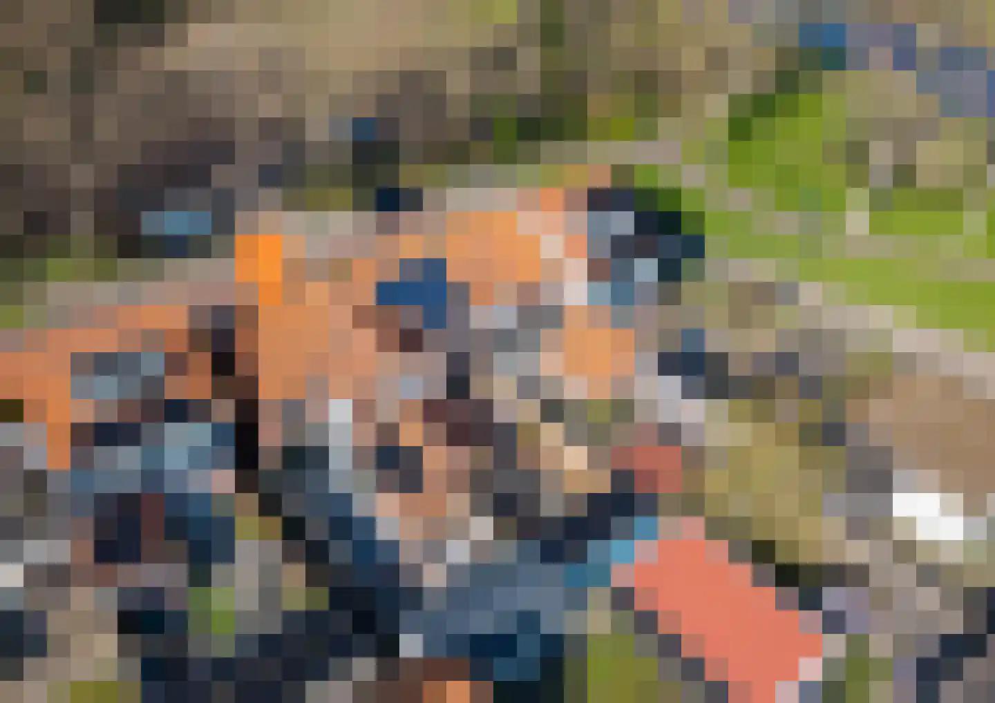 Schuttershof 7 Tholen thumbnail 48