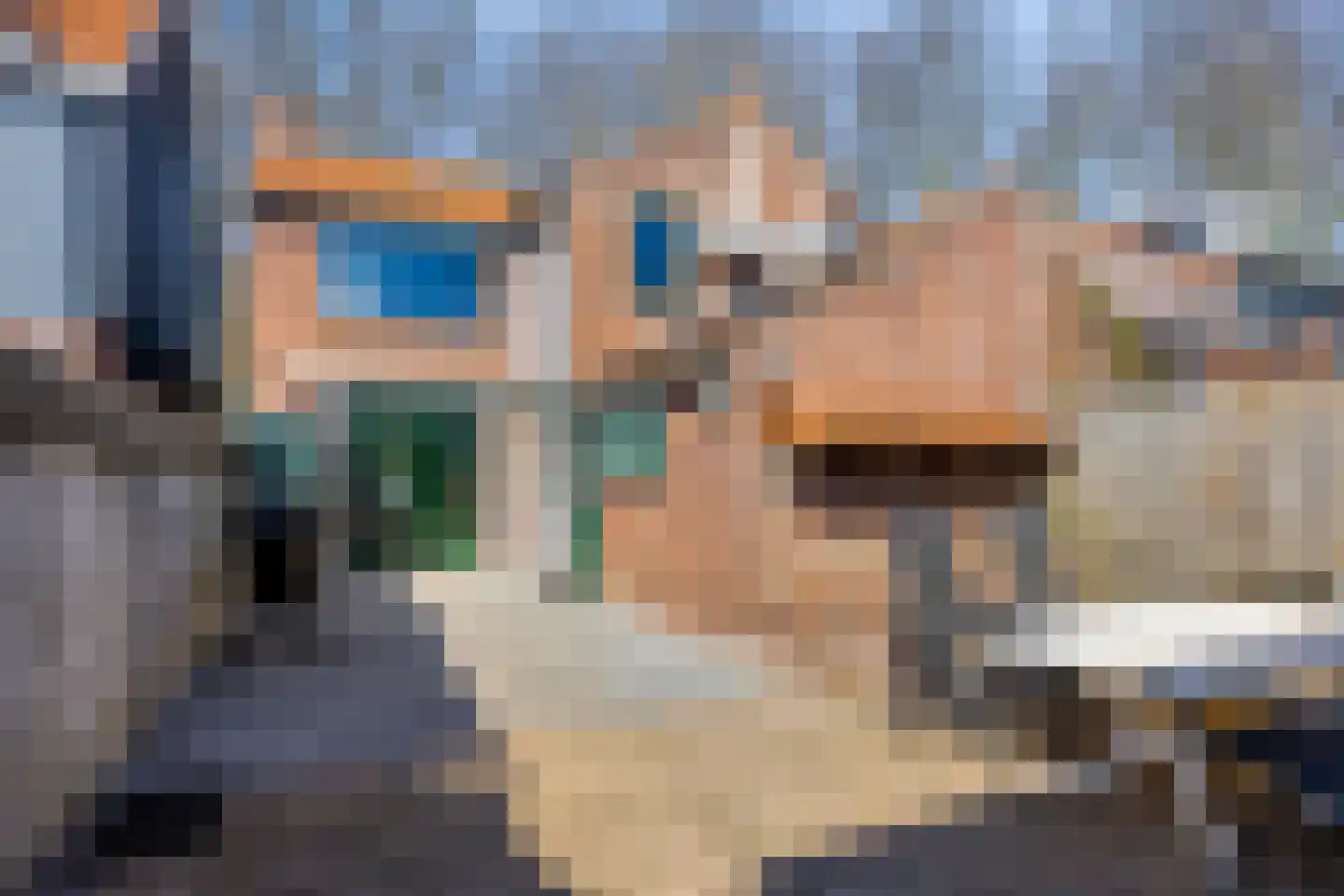 Schuttershof 7 Tholen thumbnail 5