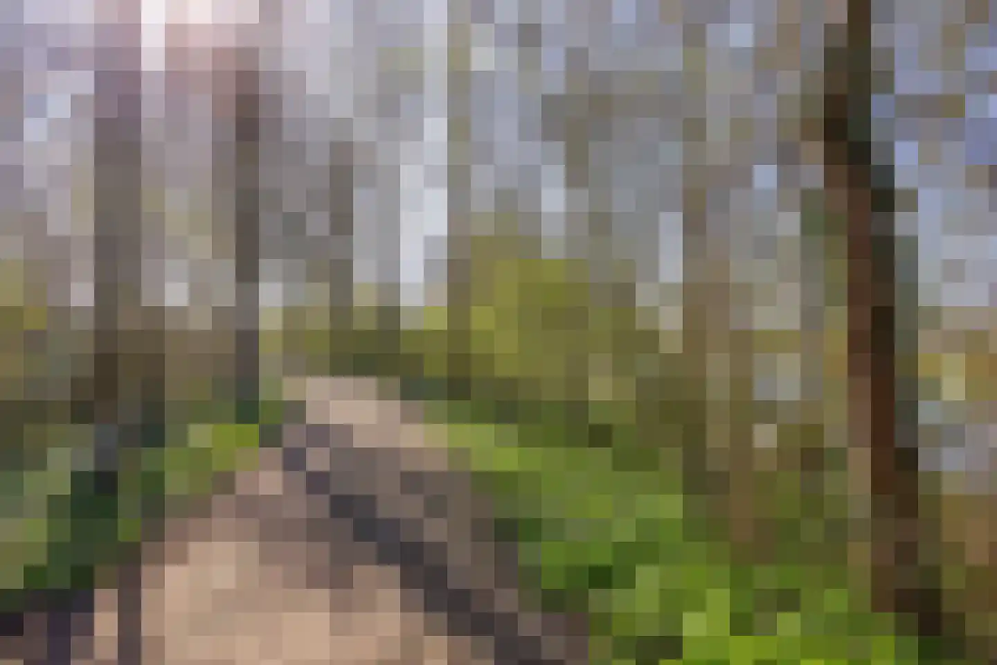Schuttershof 7 Tholen thumbnail 56