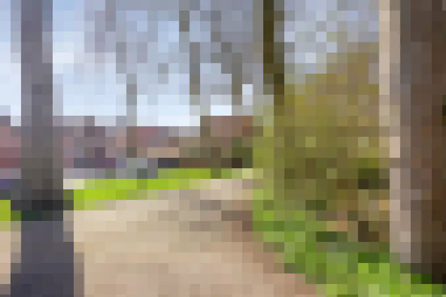 Schuttershof 7 Tholen thumbnail 57