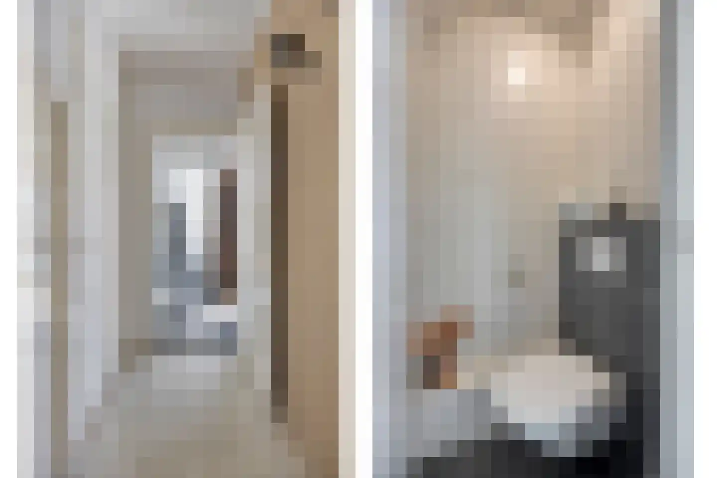 Schuttershof 7 Tholen thumbnail 8