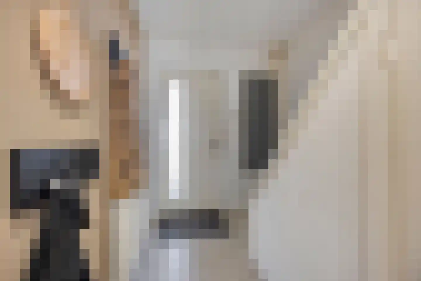 Schuttershof 7 Tholen thumbnail 9