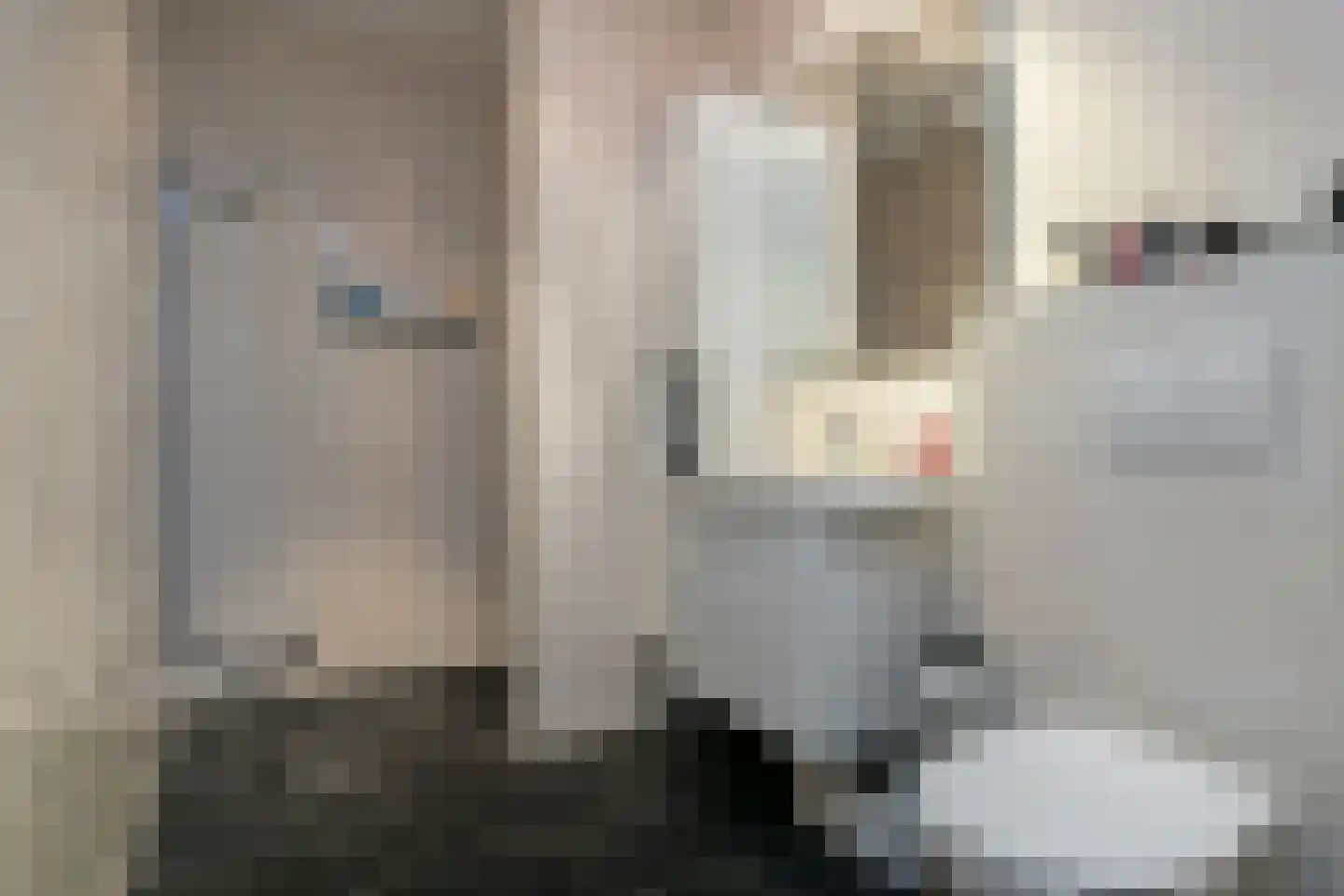 Schuttershof 74 Terneuzen thumbnail 17
