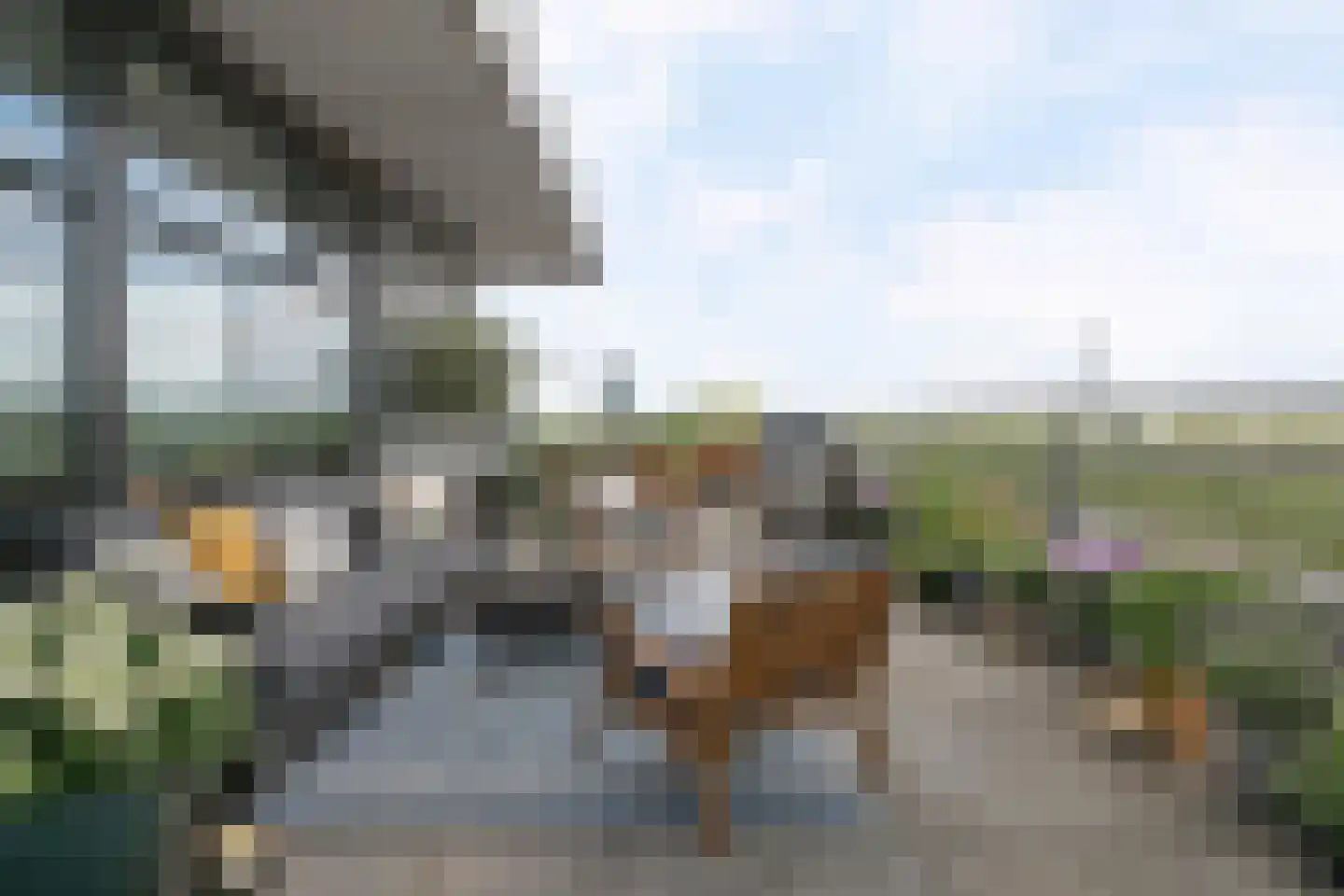 Schuttershof 74 Terneuzen thumbnail 35