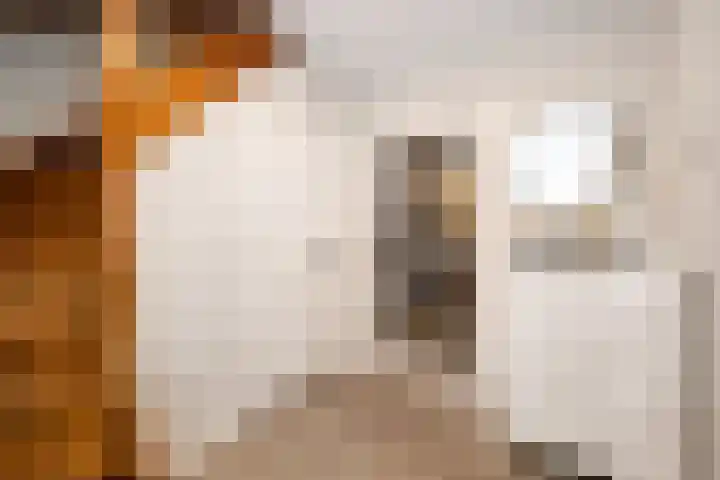 Schuttershof 9 Boxtel thumbnail 4