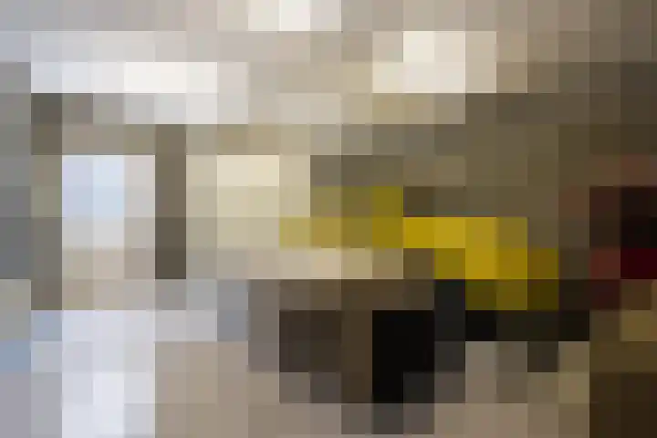 Schuttershof 9 Boxtel thumbnail 68