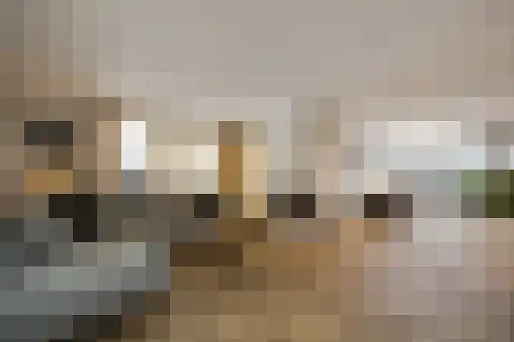 Schuttershof 9 Boxtel thumbnail 8