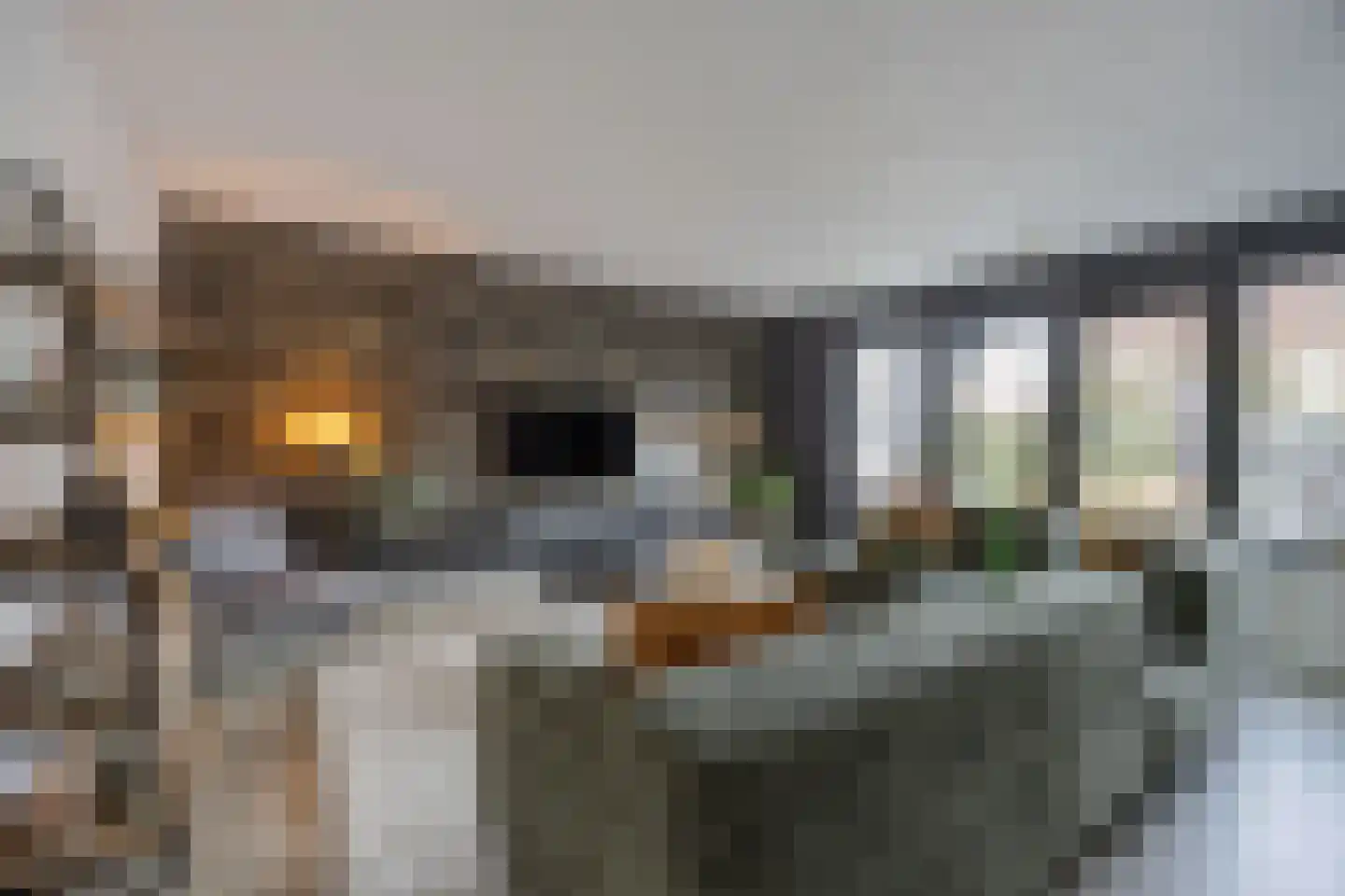 Schuttershof 9 Etten-Leur thumbnail 15