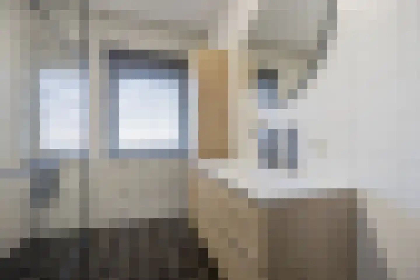 Schuttershof 9 Etten-Leur thumbnail 33