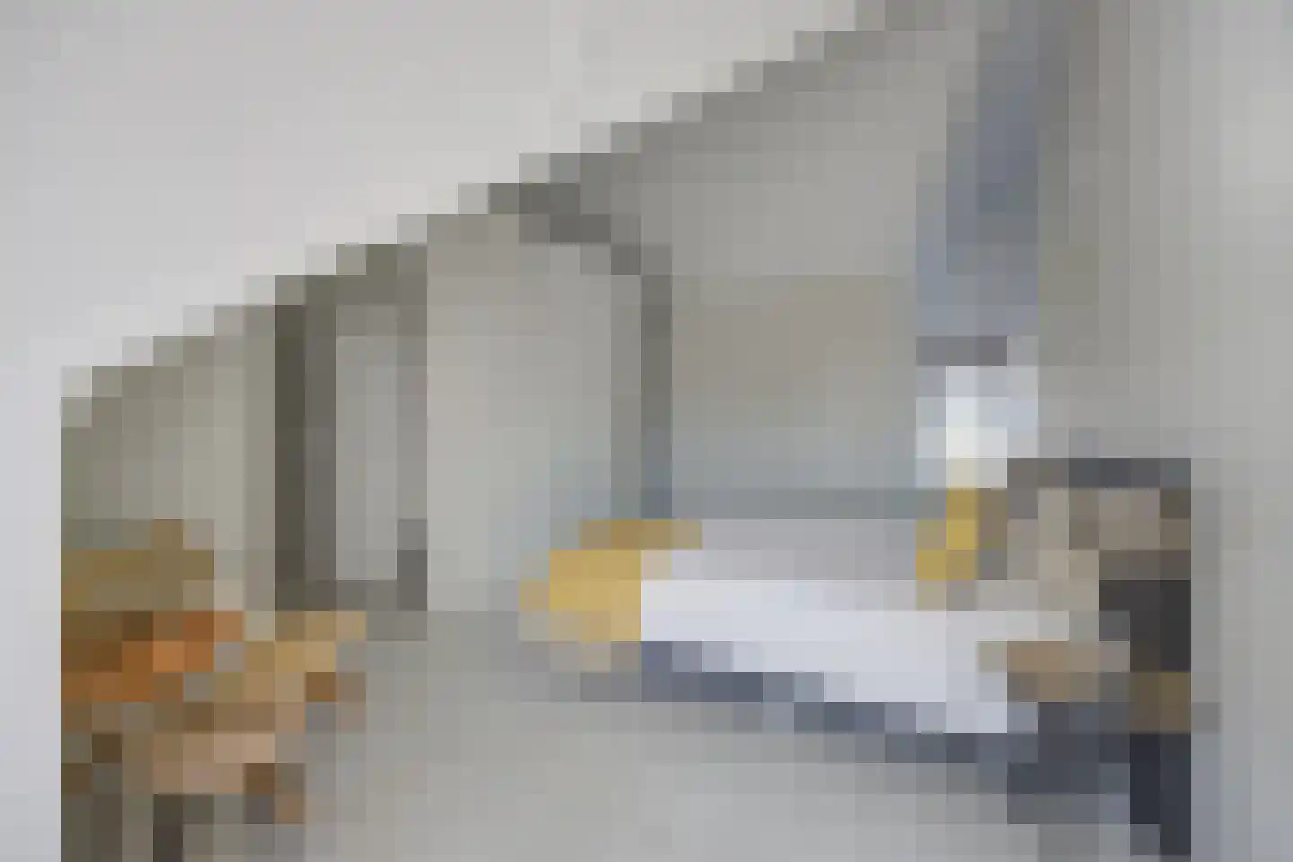 Schuttershof 9 Etten-Leur thumbnail 39
