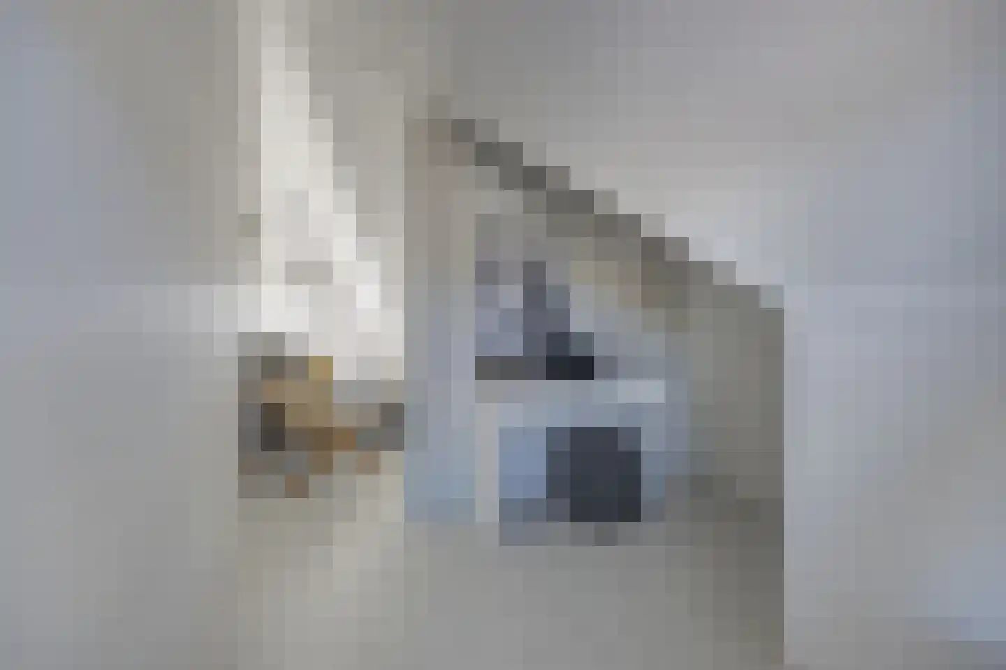 Schuttershof 9 Etten-Leur thumbnail 42