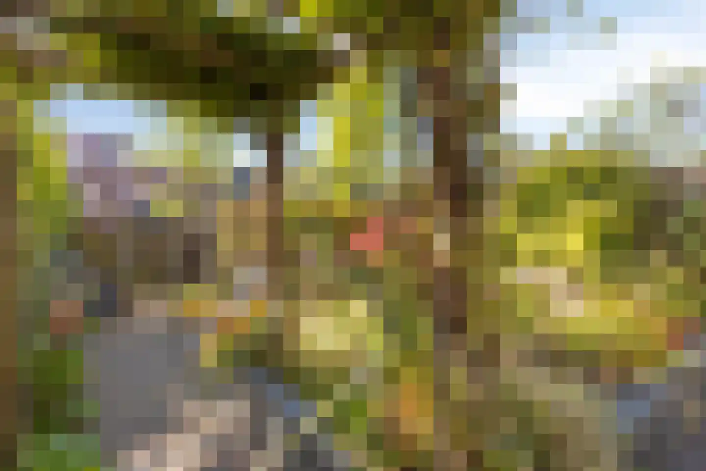Schutterskwartier 5 Heemskerk thumbnail 29