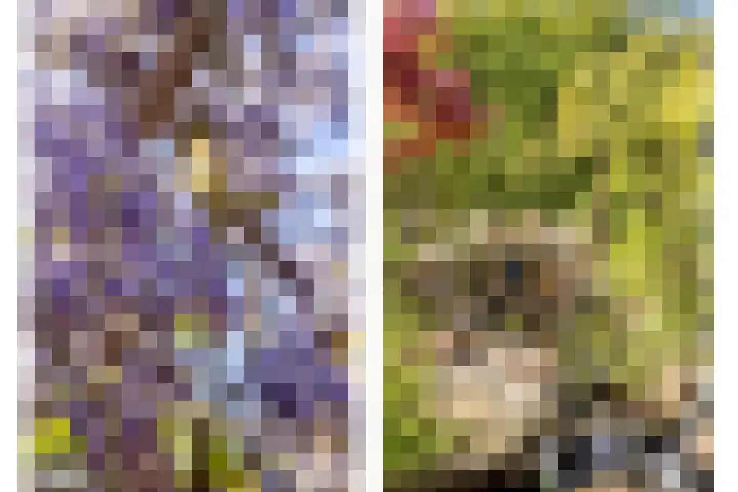 Schutterskwartier 5 Heemskerk thumbnail 30