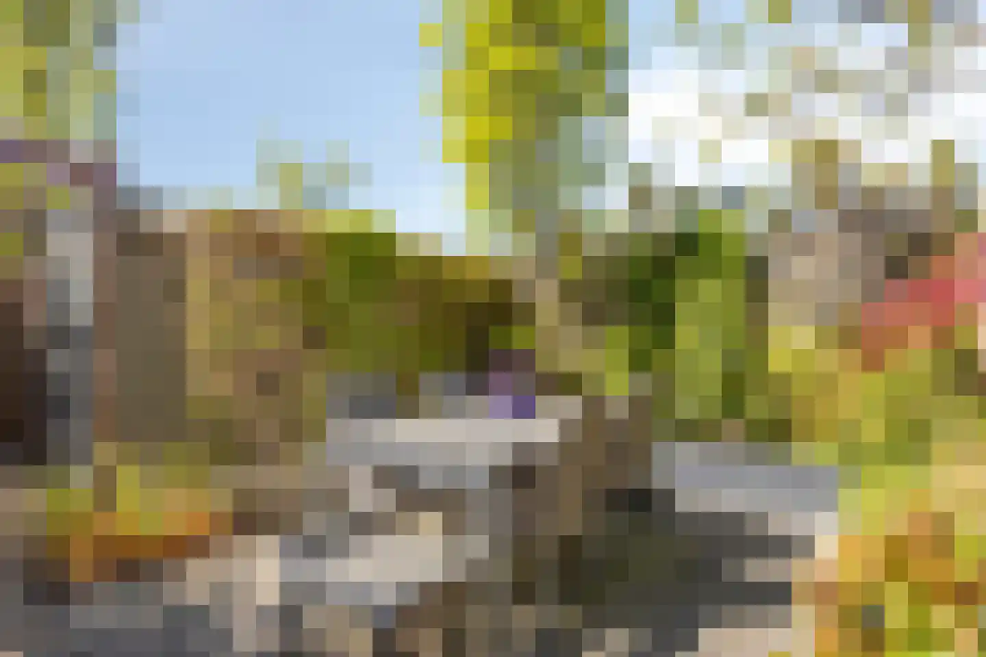 Schutterskwartier 5 Heemskerk thumbnail 31