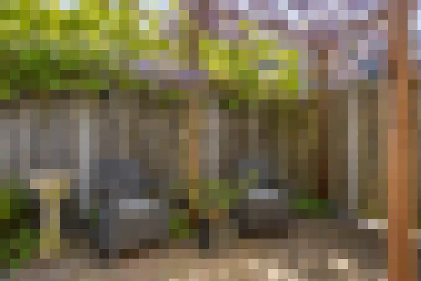 Schutterskwartier 5 Heemskerk thumbnail 32