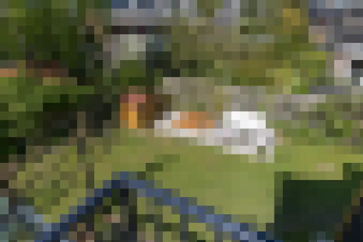 Schutterslaan 10 Bilthoven thumbnail 36