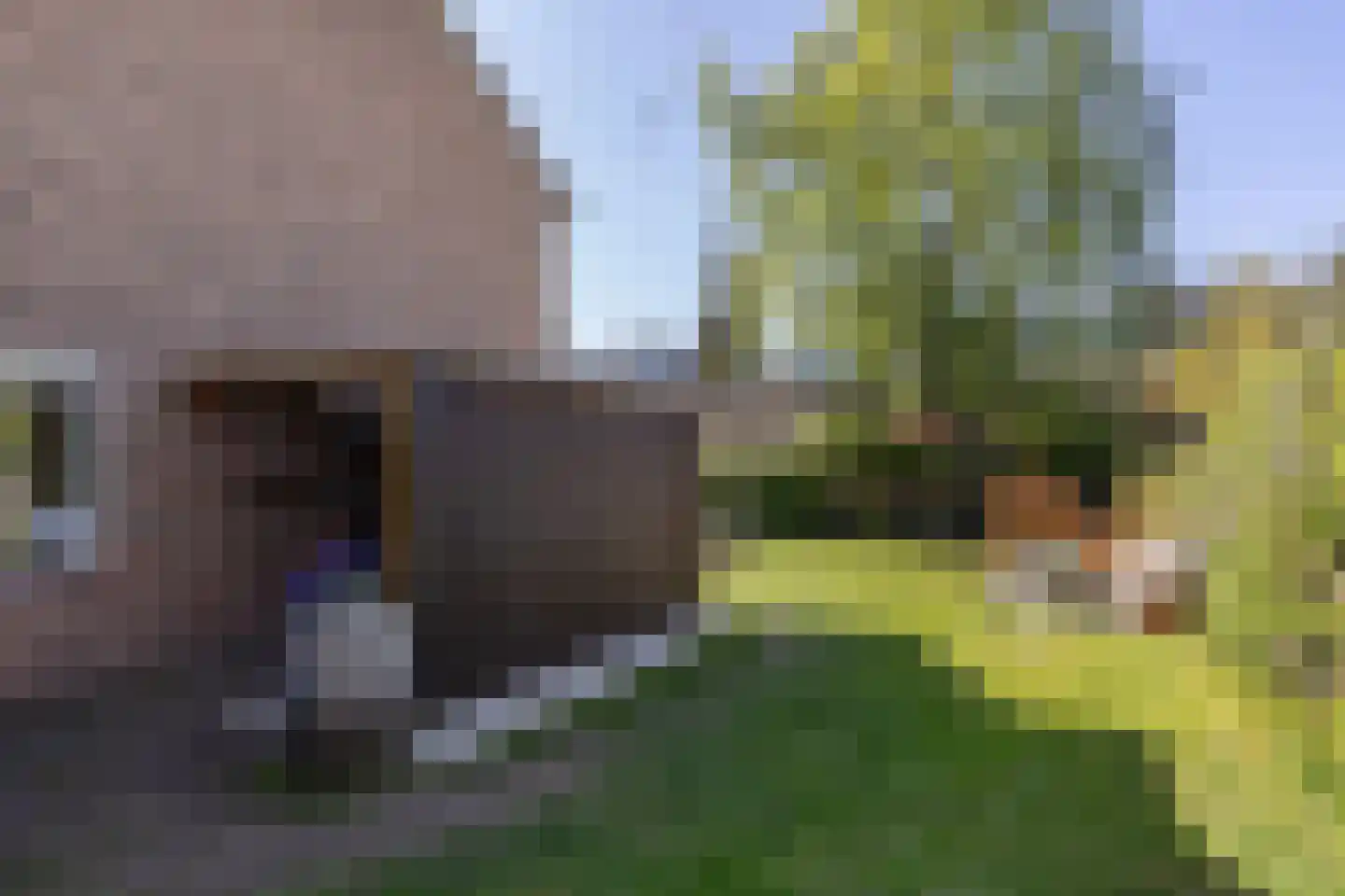 Schutterslaan 10 Bilthoven thumbnail 42