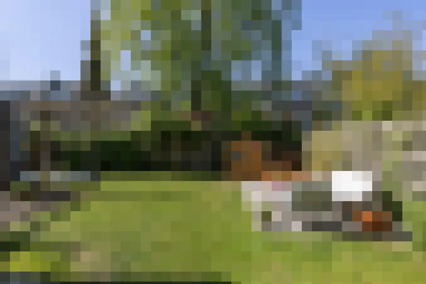 Schutterslaan 10 Bilthoven thumbnail 43