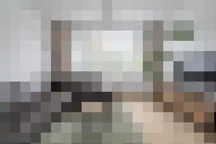 Schutterslaan 19 Helmond thumbnail 42