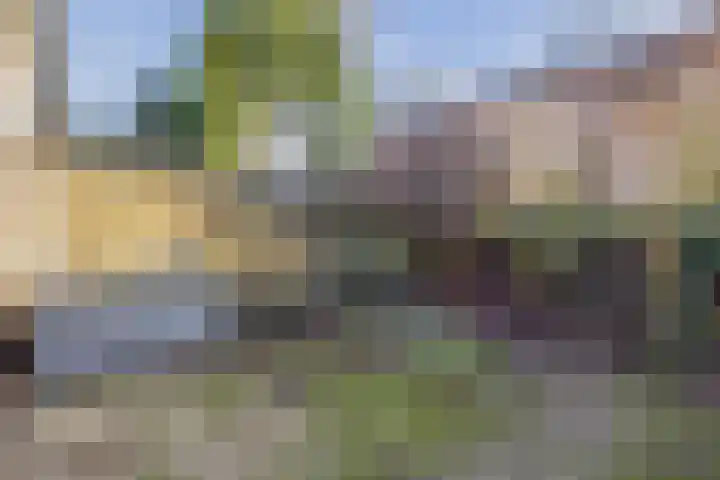 Schutterspad 41 Heelsum thumbnail 14