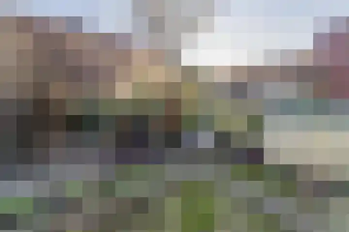 Schutterspad 41 Heelsum thumbnail 15