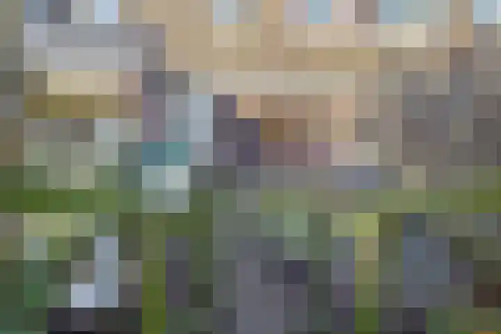 Schutterspad 41 Heelsum thumbnail 17