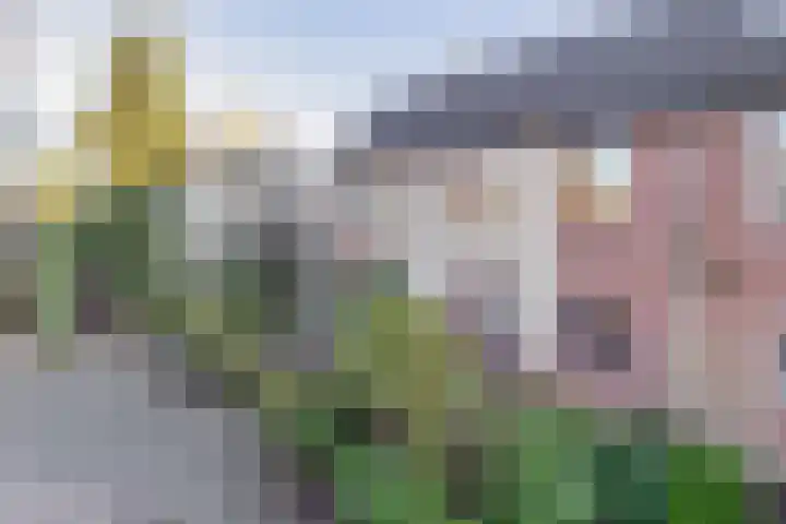 Schutterspad 41 Heelsum thumbnail 35
