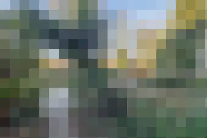 Schutterspad 41 Heelsum thumbnail 45
