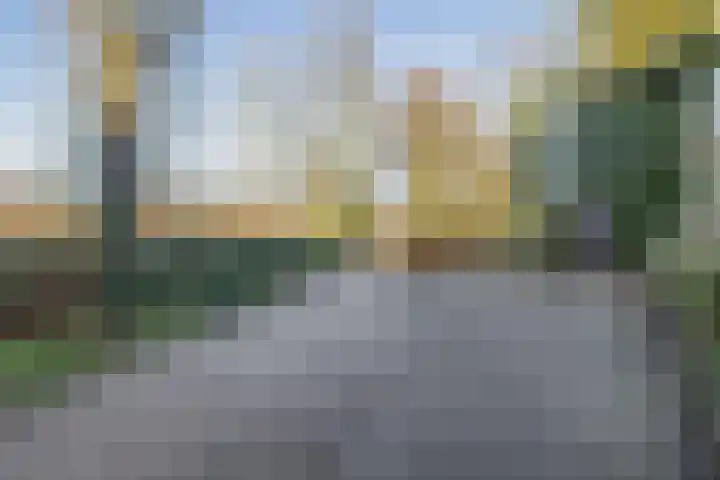 Schutterspad 41 Heelsum thumbnail 46