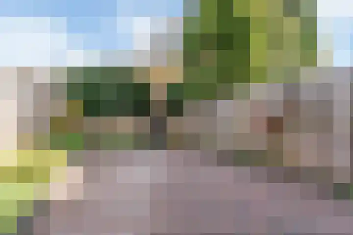 Schutterspad 47 Heelsum thumbnail 28