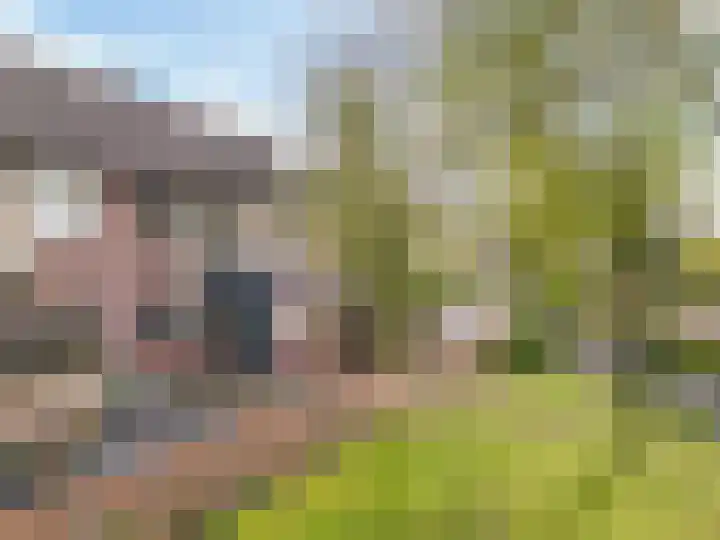 Schutterspad 47 Heelsum thumbnail 33
