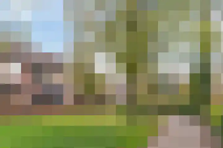 Schutterspad 47 Heelsum thumbnail 36