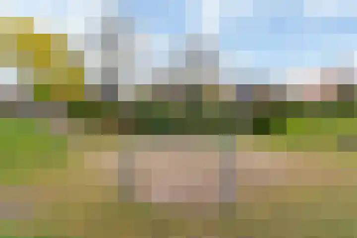 Schutterspad 47 Heelsum thumbnail 37