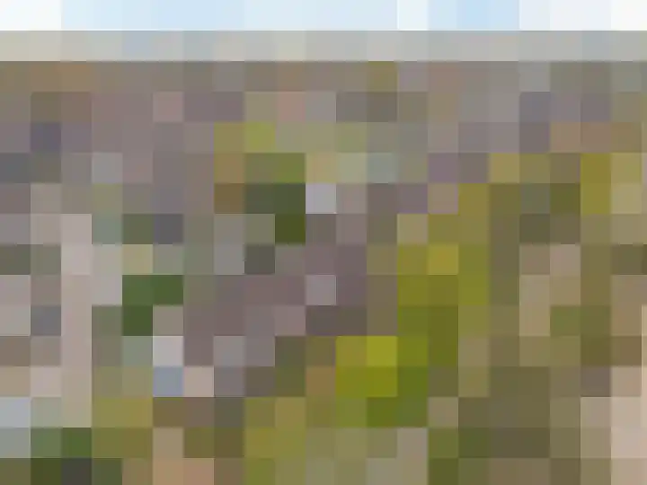Schutterspad 47 Heelsum thumbnail 39