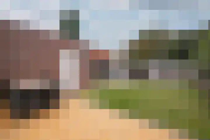 Schuttersstraat 14 Linne thumbnail 20