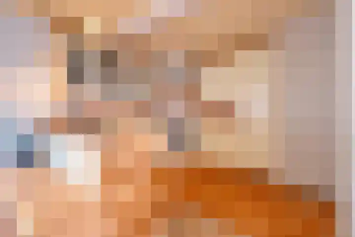 Schuttersstraat 14 Linne thumbnail 5