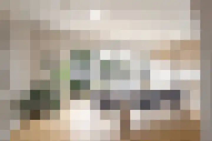 Schuttersstraat 14 Linne thumbnail 7