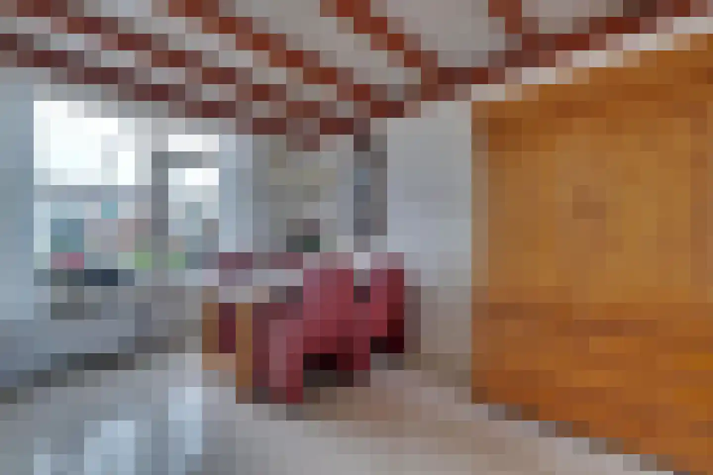 Schuttersstraat 2 Lobith thumbnail 11
