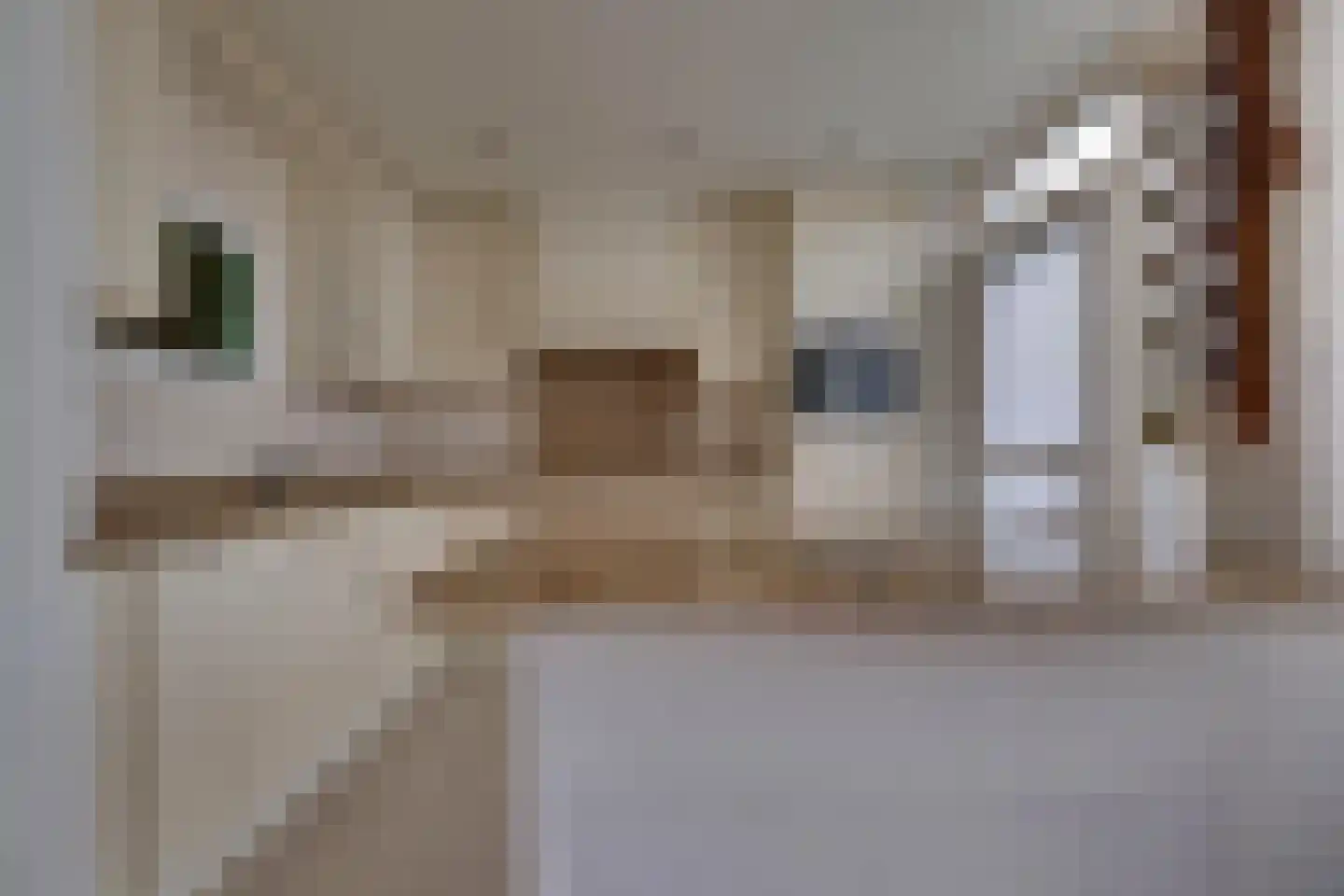 Schuttersstraat 2 Lobith thumbnail 13