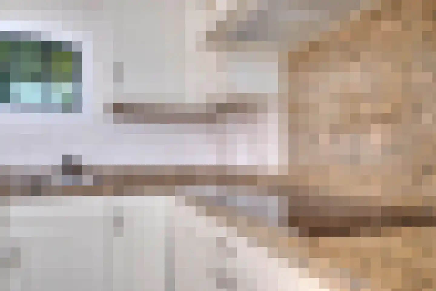 Schuttersstraat 2 Lobith thumbnail 15