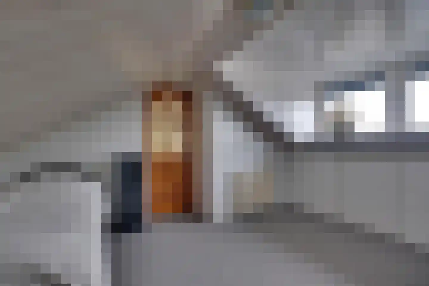 Schuttersstraat 2 Lobith thumbnail 26