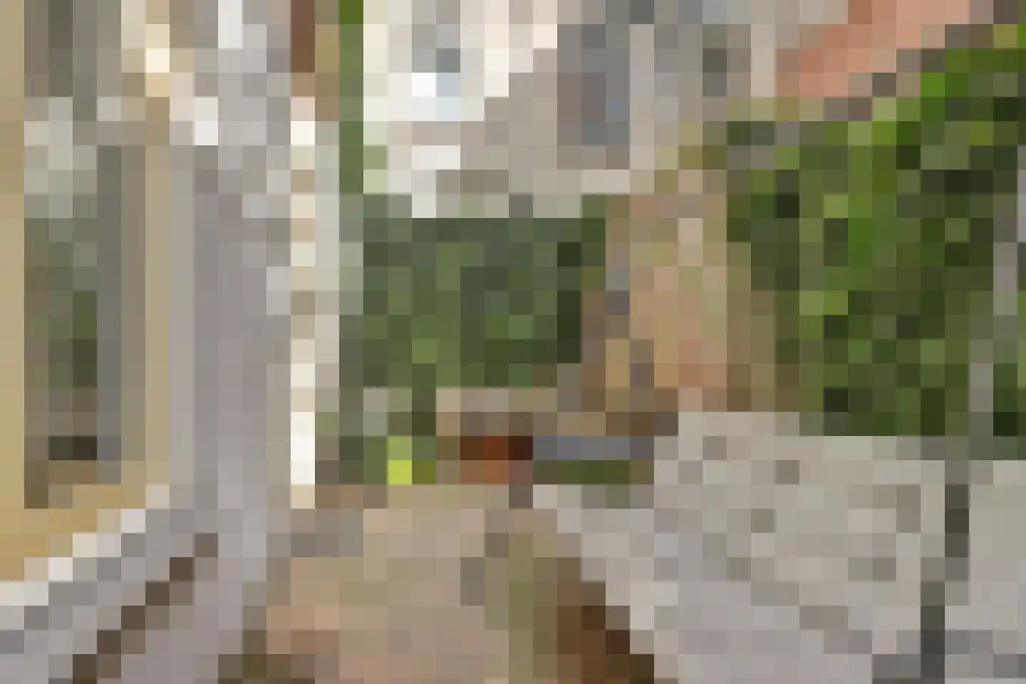Schutterstraat 19 Leiden thumbnail 42