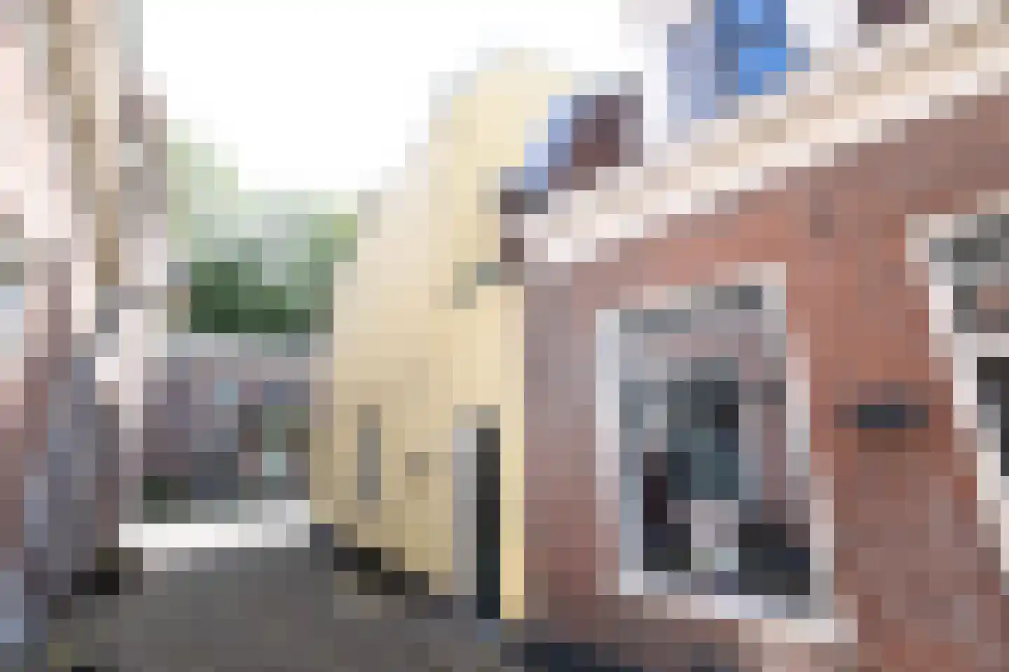 Schutterstraat 19 Utrecht thumbnail 5