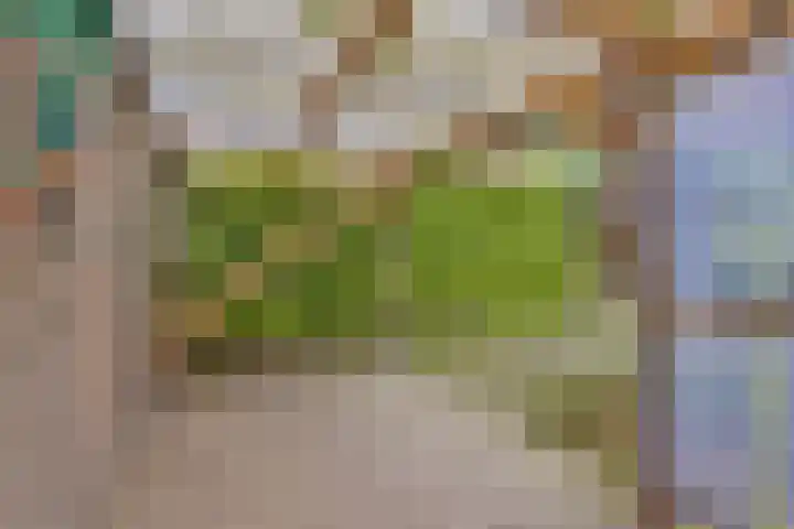 Schutterstraat 20 Rosmalen thumbnail 28